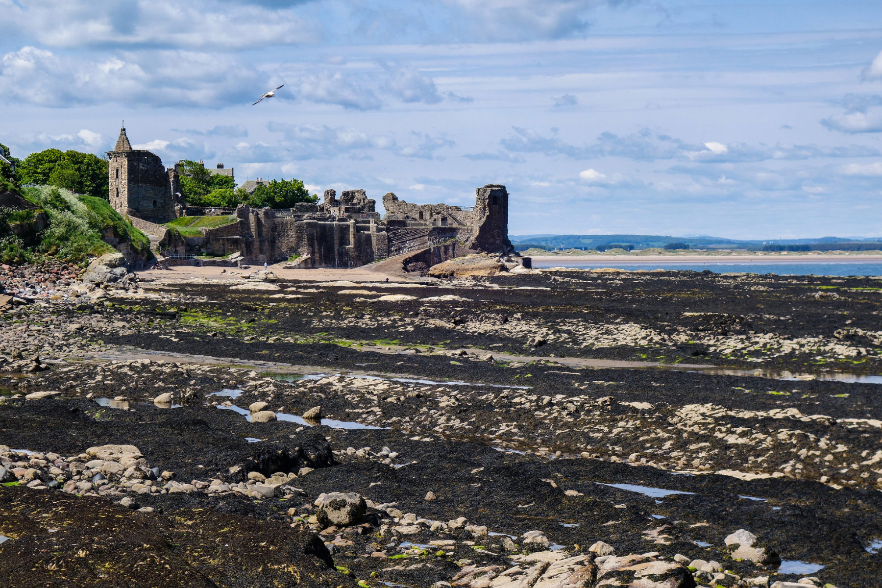 St. Andrews